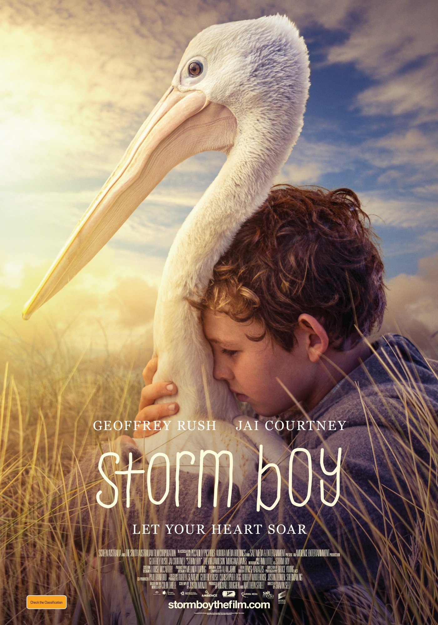 storm boy novel
