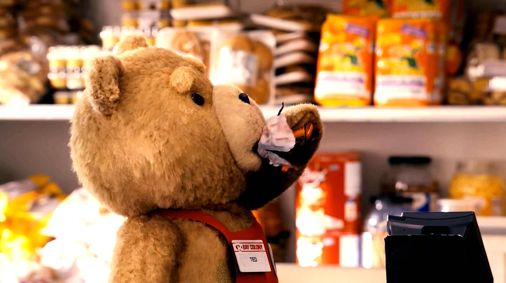 Ted Picture 14