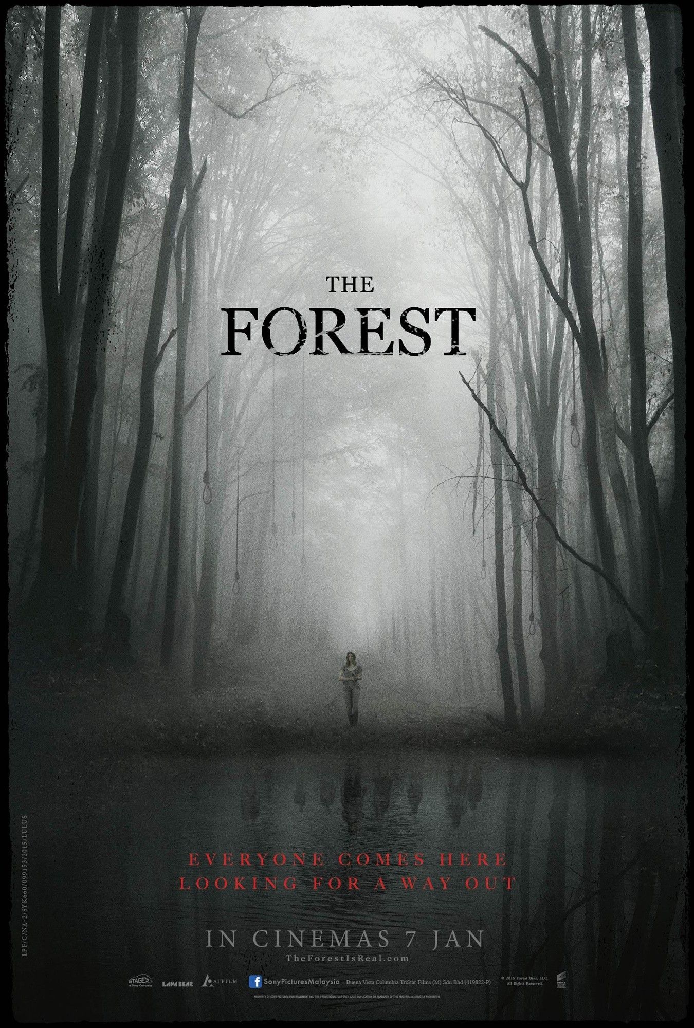 Poster of Gramercy Pictures' The Forest (2016)