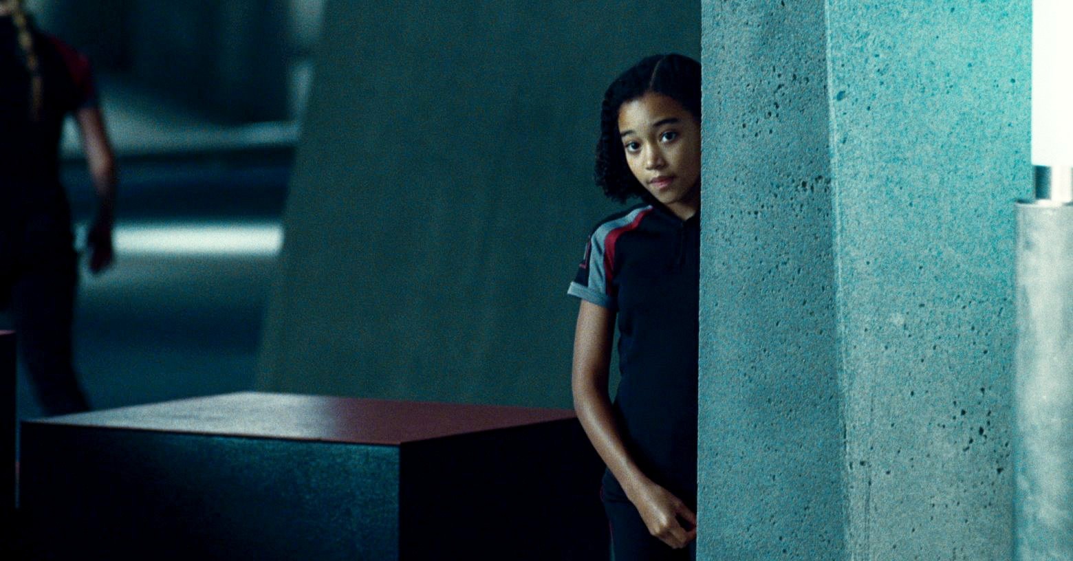 Amandla Stenberg stars as Rue in Lionsgate Films' The Hunger Games (2012)