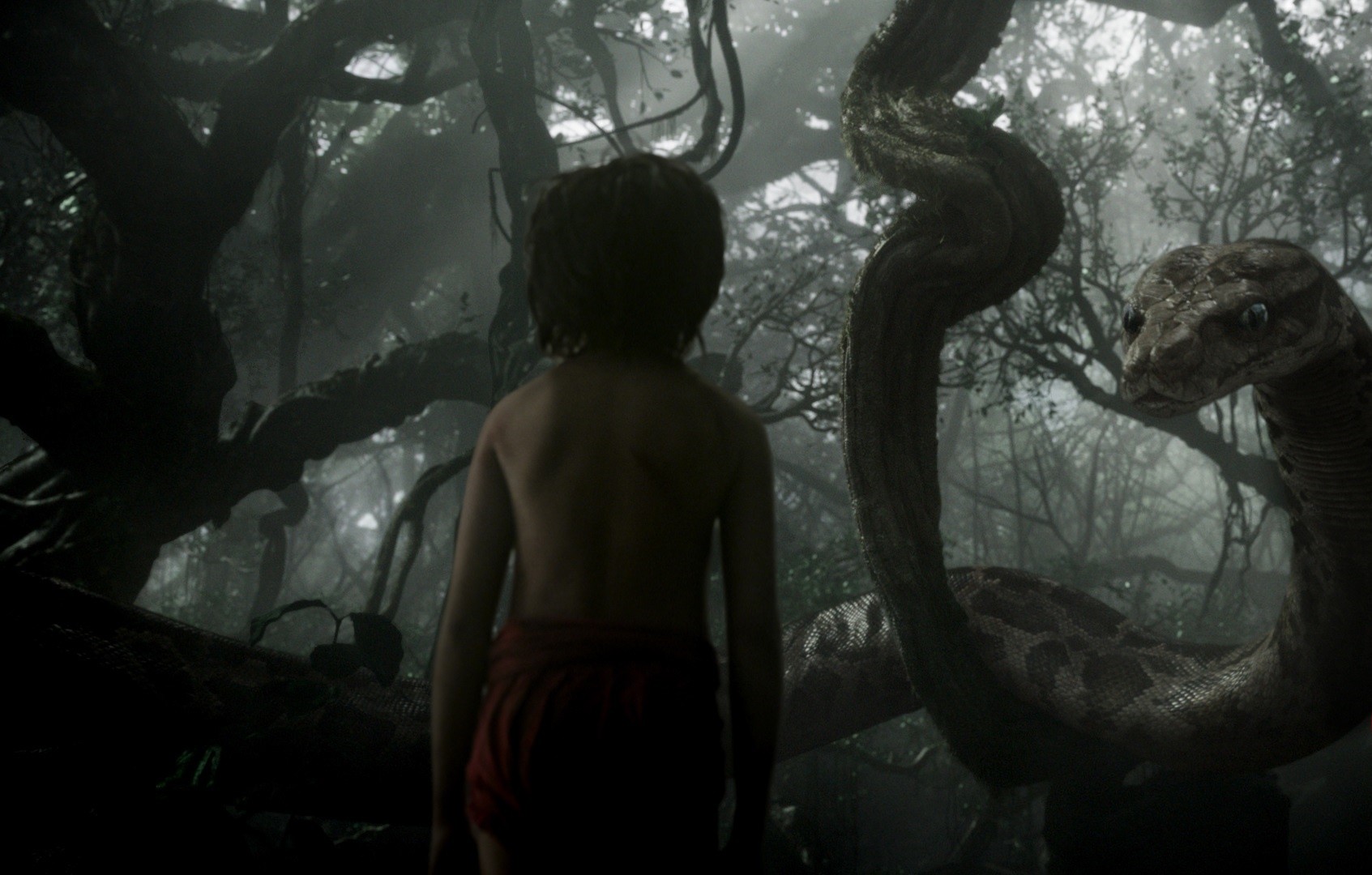 Kaa from Walt Disney Pictures' The Jungle Book (2016)