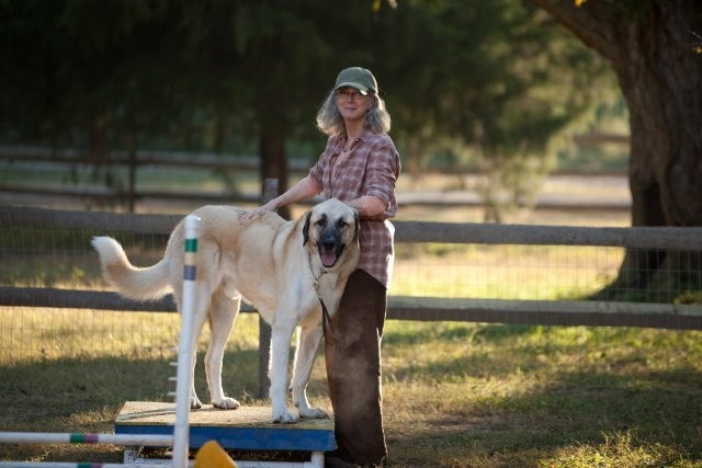 Blythe Danner stars as Nana in Warner Bros. Pictures' The Lucky One (2012)