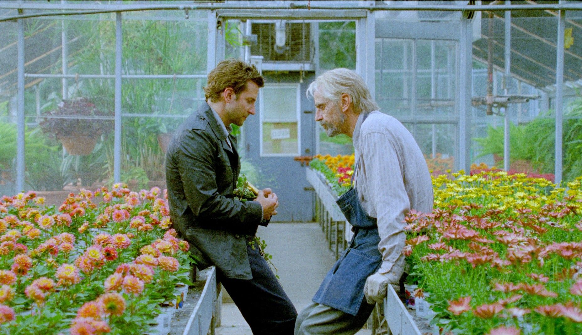 Bradley Cooper stars as Rory Jansen and Jeremy Irons stars as The Old Man in CBS Films' The Words (2012)