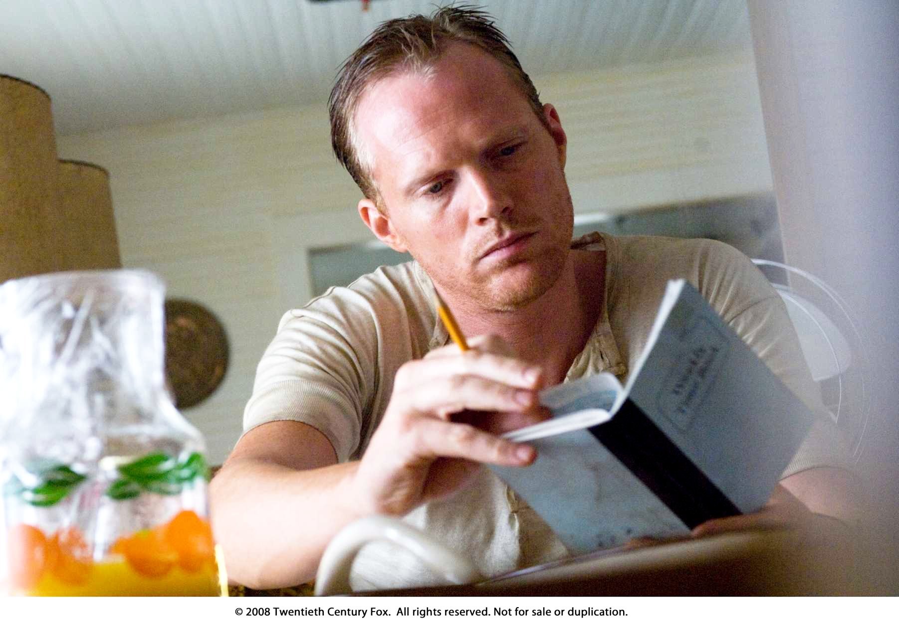 Paul Bettany stars as T. Ray Owens in Fox Searchlight Pictures' The Secret Life of Bees (2008)