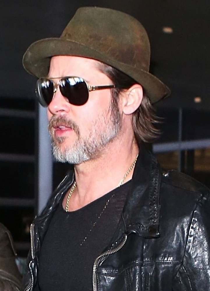 Brad Pitt Picture 477 - Brad Pitt Arrives at Los Angeles International ...