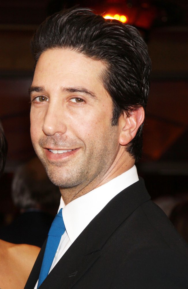 David Schwimmer Picture 26 - Opening Night of The Big Knife - Arrivals