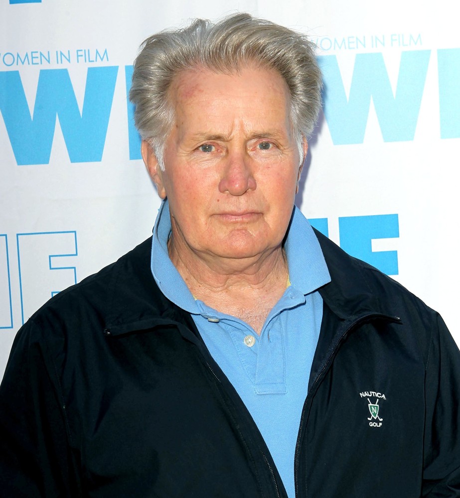 Martin Sheen beard