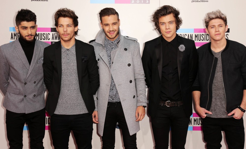 One Direction Picture 497 - 2013 American Music Awards - Arrivals