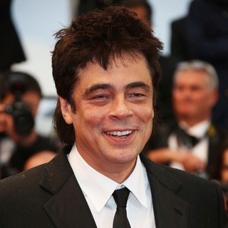 Benicio del Toro Having Baby With Rod Stewart's Daughter