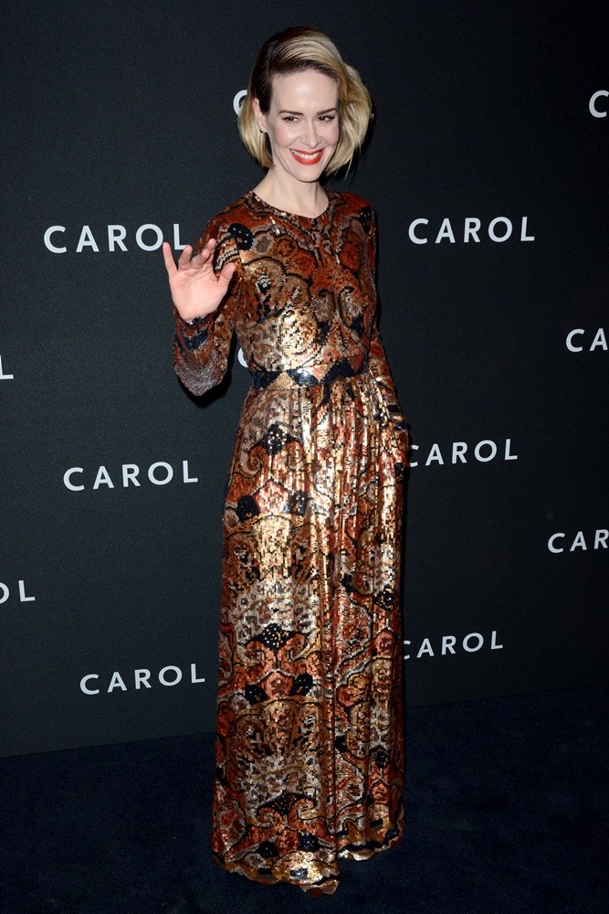 Carol New York Premiere - Red Carpet Arrivals - Picture 1