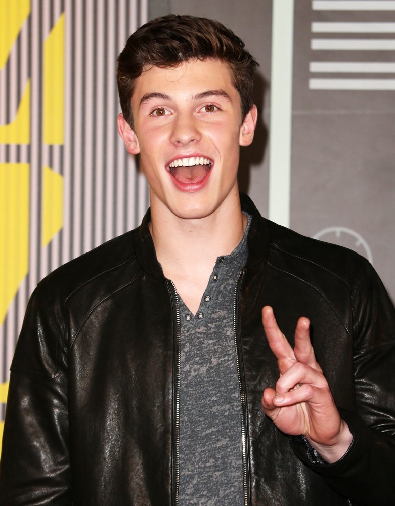 Shawn Mendes Picture 35 - 2015 MTV Video Music Awards - Arrivals