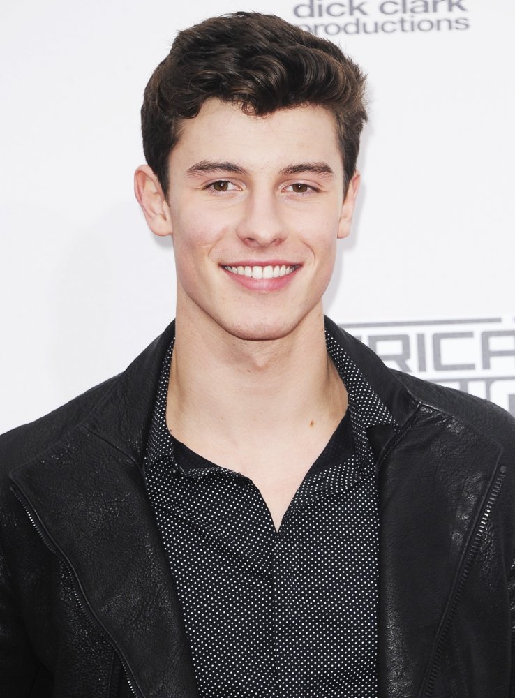 Shawn Mendes Picture 77 - 2016 American Music Awards - Arrivals