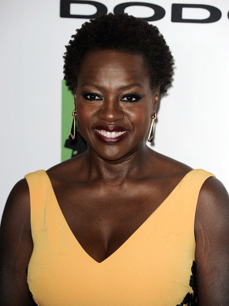 Viola Davis Picture 89 - The 17th Annual Hollywood Film Awards